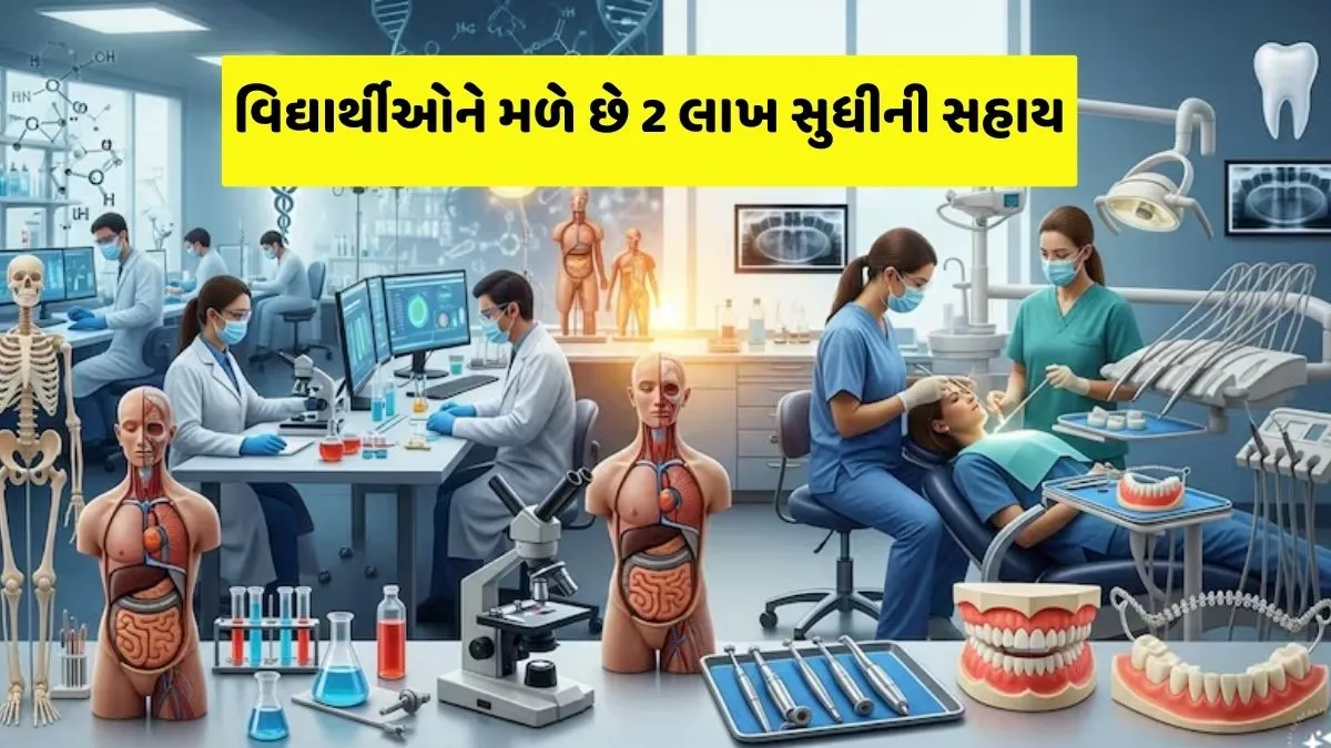 Mukhyamantri Yuva Swavalamban Yojana